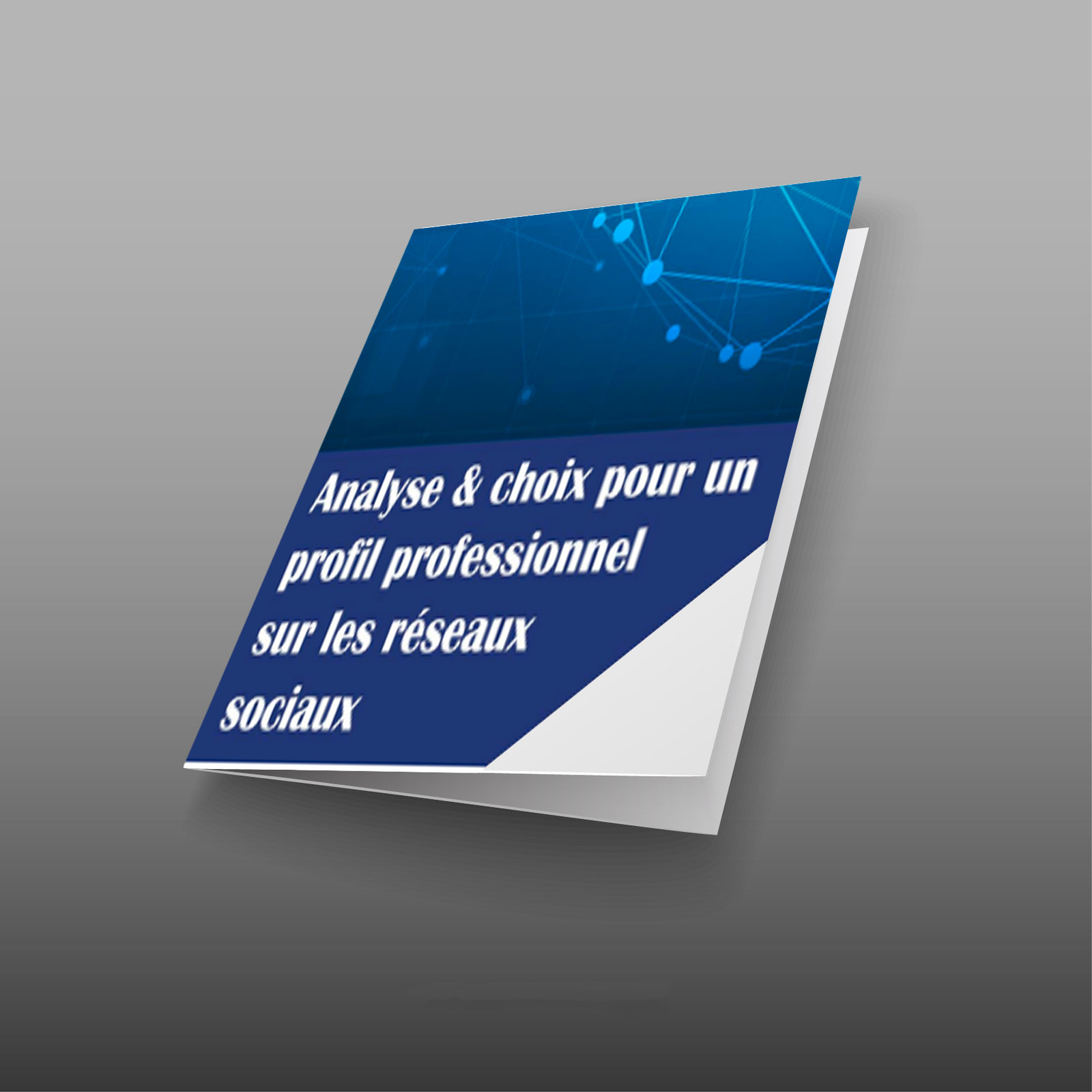 Stratégie de Communication Professionnelle pour les Réseaux Sociaux
